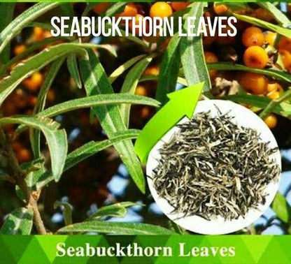 Food Library The Magic Of Nature Seabuckthorn Tea leaves 50g