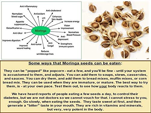Food Library The Magic of Nature African Moringa/ Drumstick/ Sahijan Seeds, 350gm