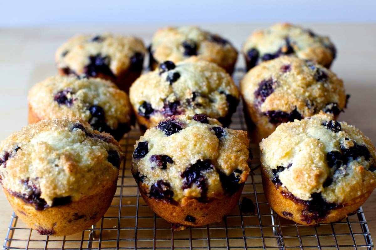 Food Library Dried Blueberries (400g)