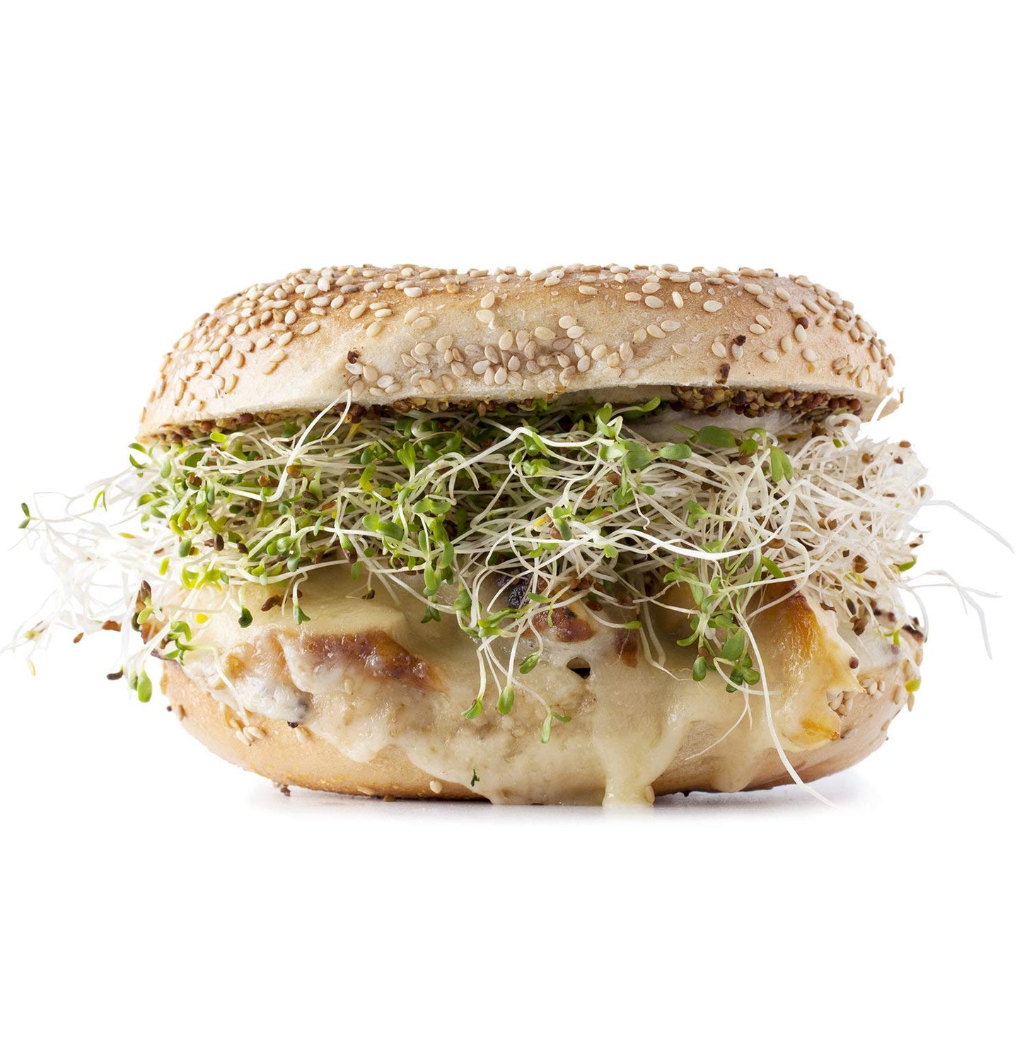 Food Library Alfalfa Sprouting Seeds (200g).