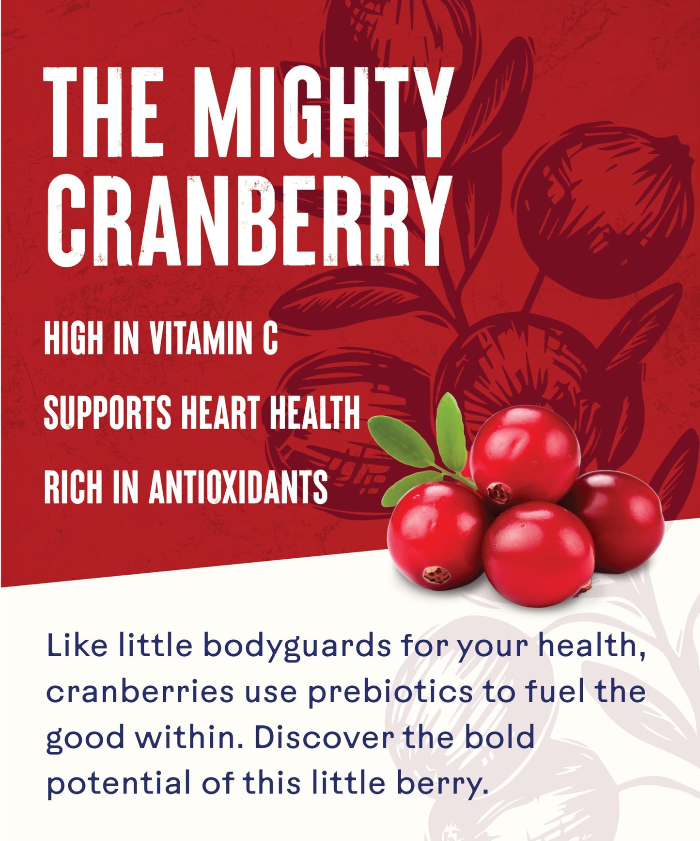 Ocean Spray Cranberry Classic Juice, 1Ltr